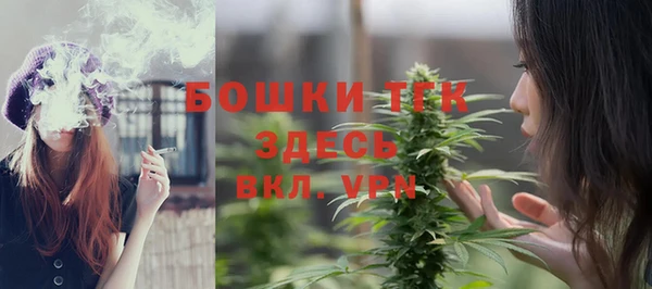 молекула духа Балахна
